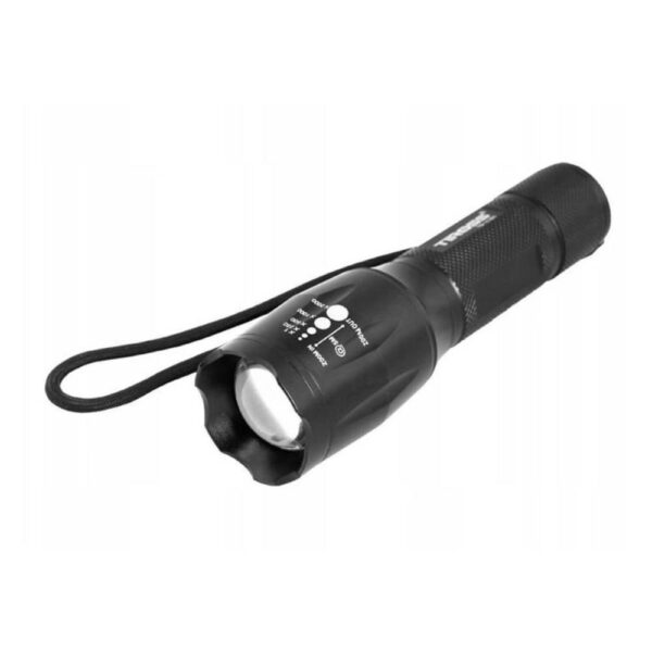 Kraunamas rankinis prožektorius Tiross Cree 10W TS-1151