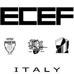 ECEF logo